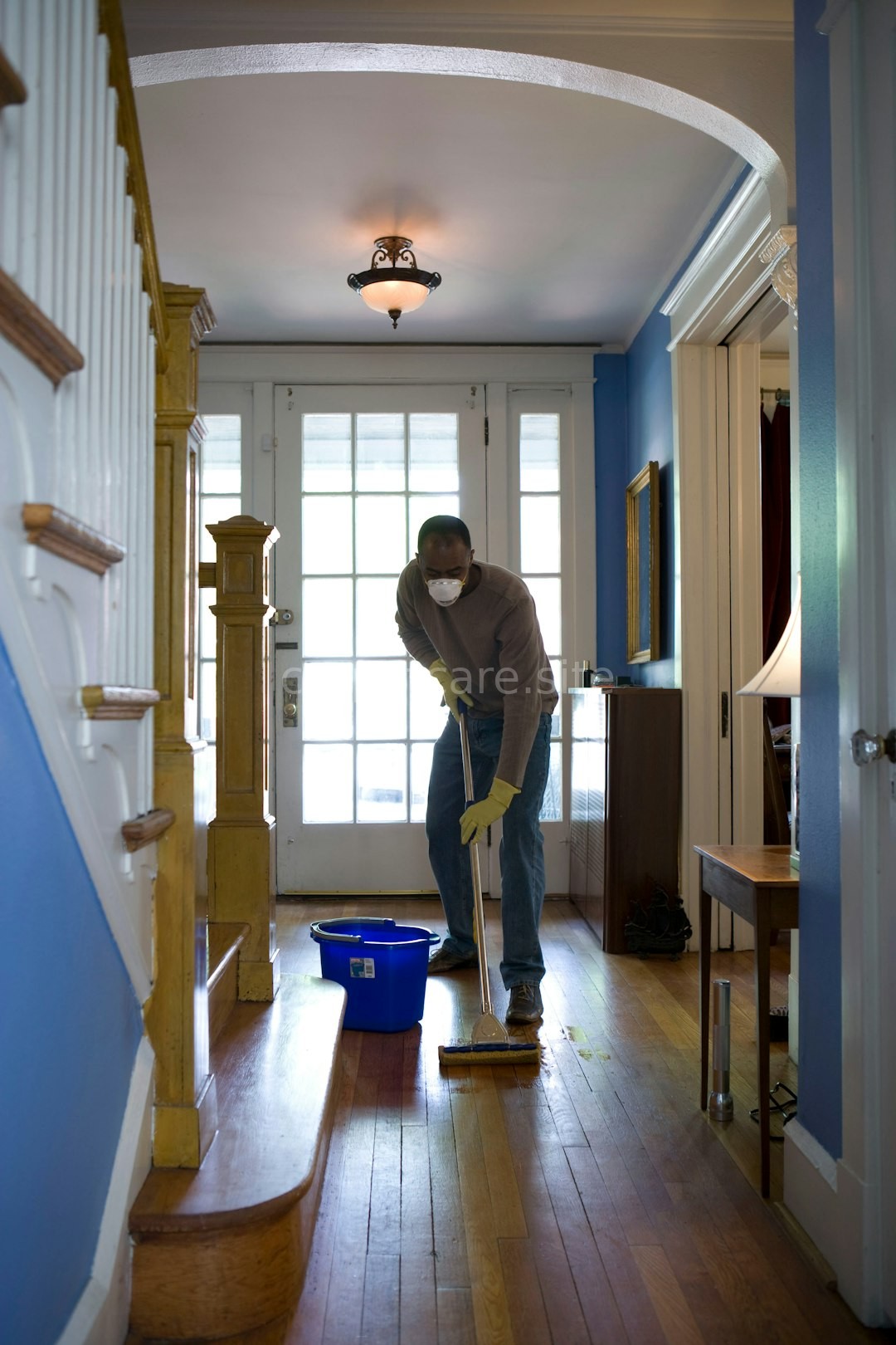 Upholstery Cleaning